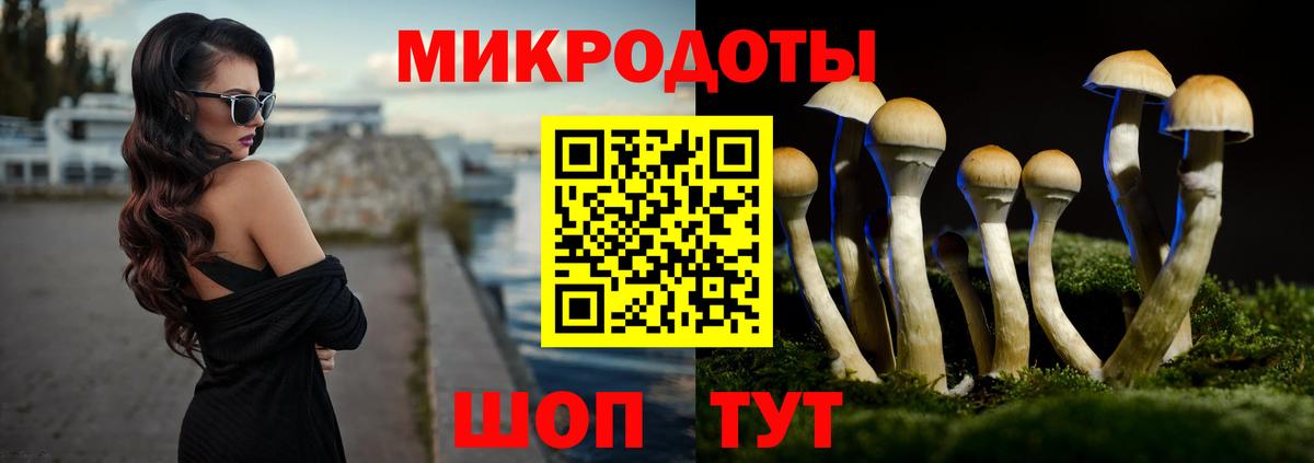 Клинцы  Псилоцибиновые грибы мицелий  Вход с VPN 